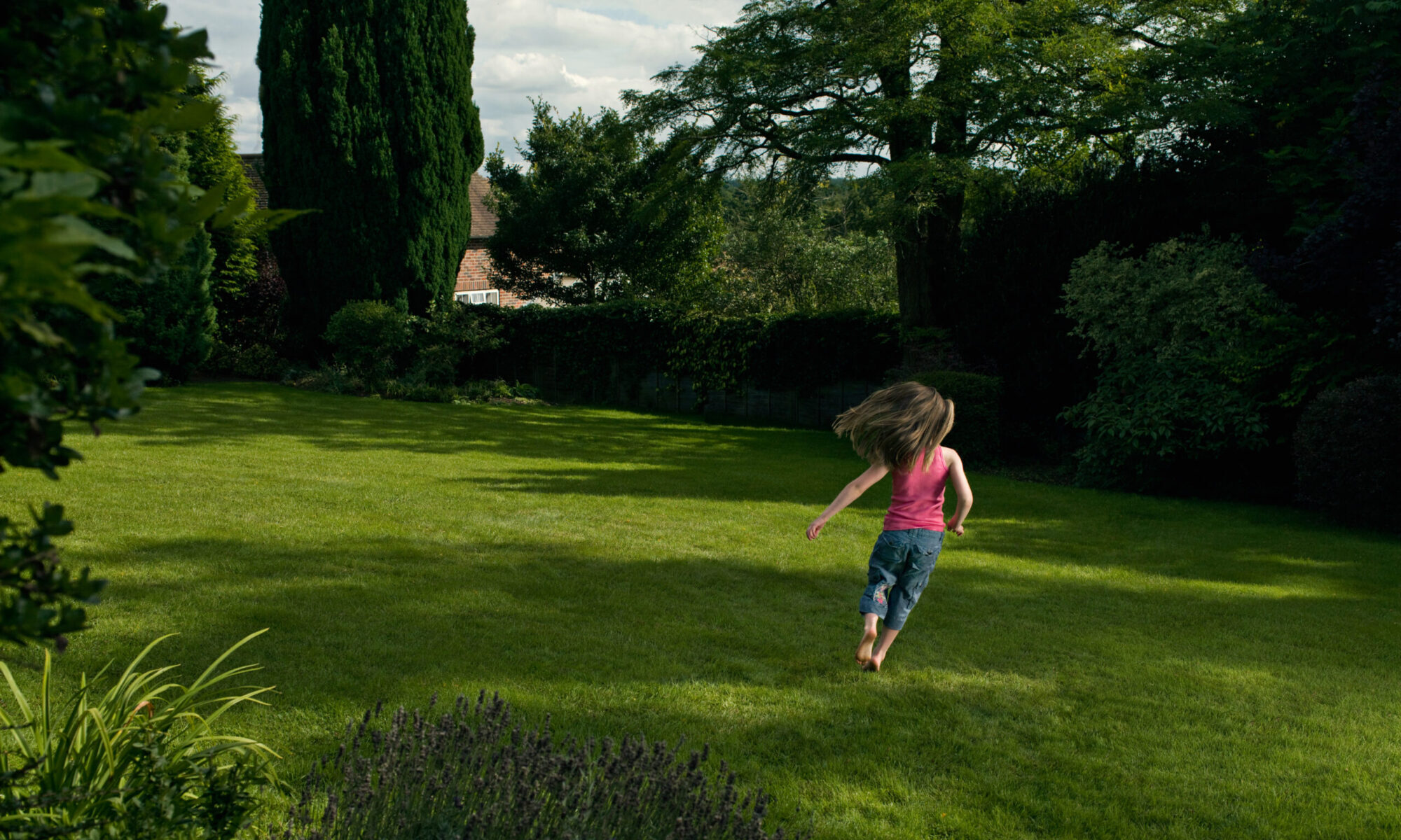 Rob + Son Gardener, lawn mowing, small jobs and big jobs! Rob + Son Gardener, lawn mowing, small jobs and big jobs!